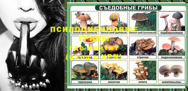 гидропоника Алзамай