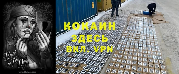 гидропоника Алзамай